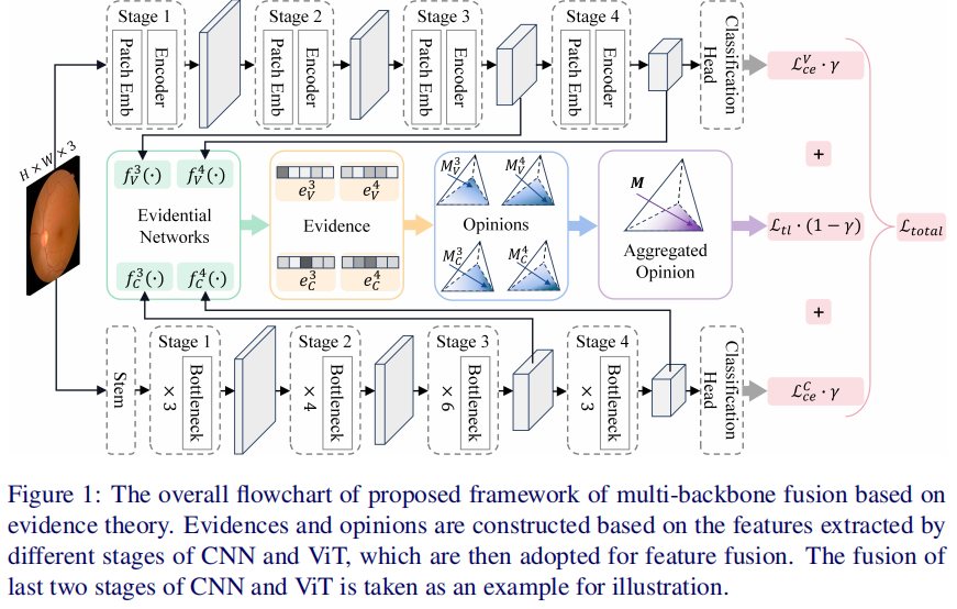 Hybrid CNN and ViT evidence framework 架构图